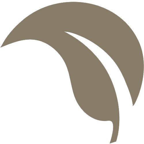 BFI Emblem