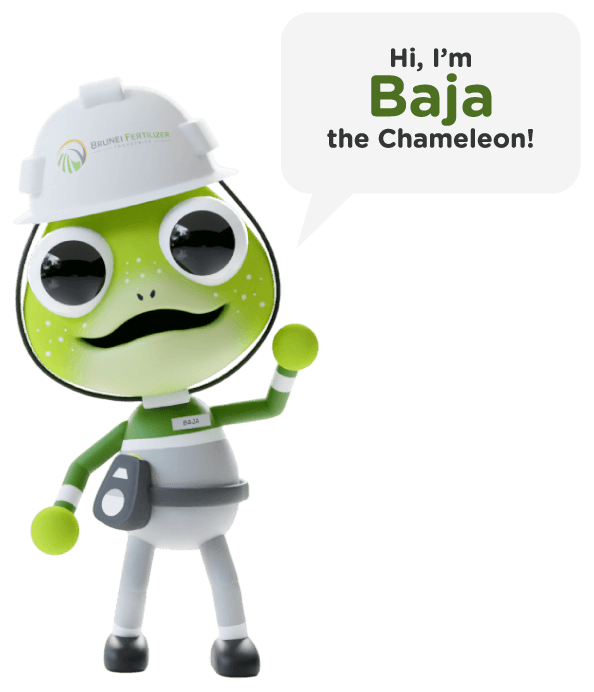 Baja the Chameleon